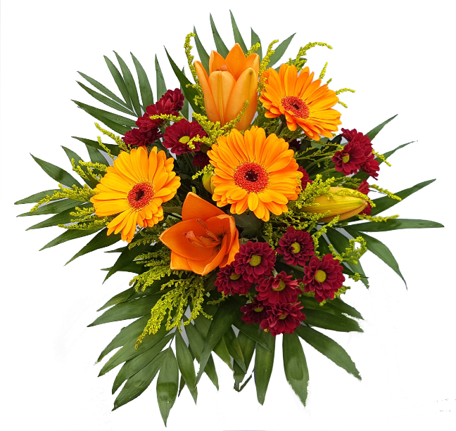 Screenshot_20200708-160704-13