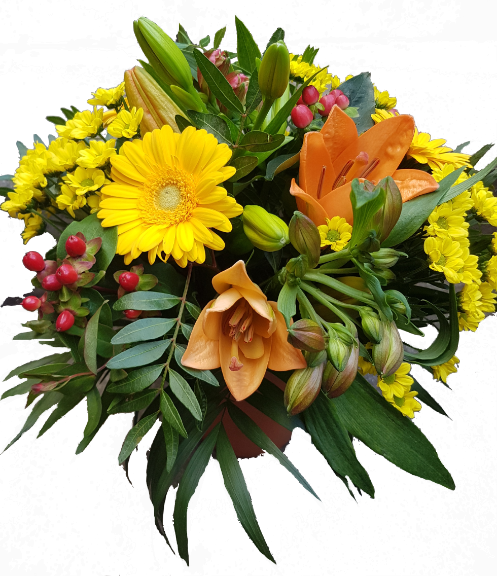 Screenshot_20201003-0VBBB71701-1