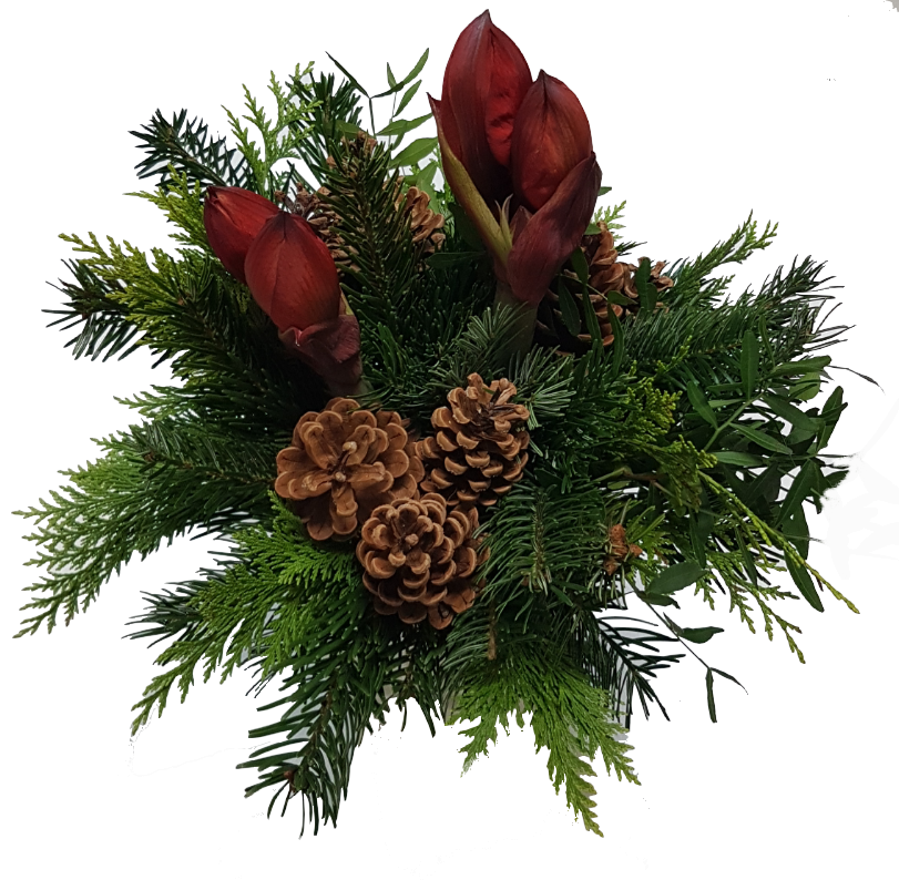 Screenshot_20201017-134359-1