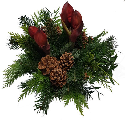 Blumenstrauß Weihnachten mit roten Amaryllis – Rosenrot Flora Trans
