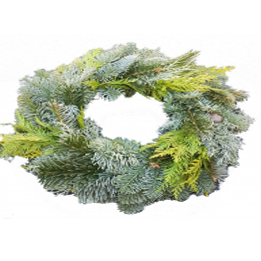 Screenshot_20201107-130856-1_200x200-Kopie