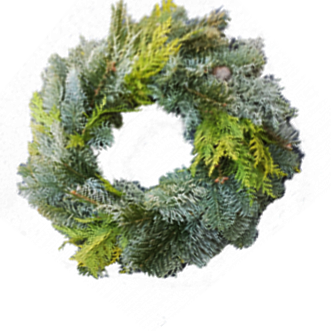 Screenshot_20201107-130856-1_200x2001-Kopie1