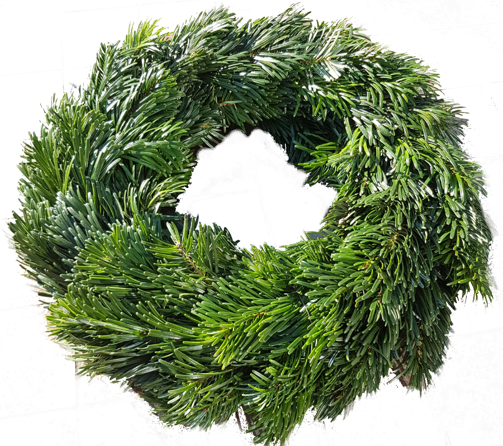 Screenshot_20201107-130958-1-1