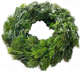 Screenshot_20201107-130958-1-1