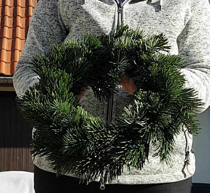 Screenshot_20201107-133111-1