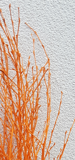 Screenshot_20210523-193230-1-nnmm