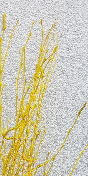 Screenshot_20210523-193259-2-b