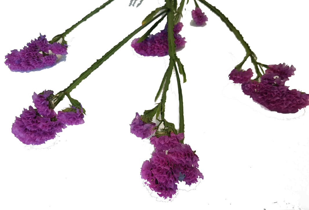 Screenshot_20210524-133710-1-2xTl47IS1XrEpP