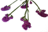 Screenshot_20210524-133710-1-2xTl47IS1XrEpP
