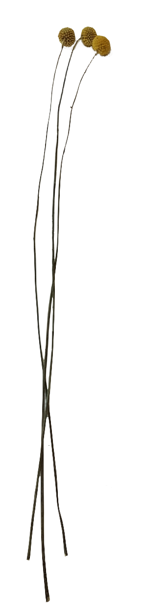 Screenshot_20210524-133816-1-k