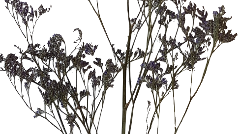 Screenshot_20210524-133936-1-jjjj