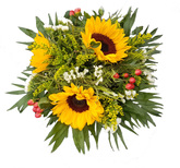 Screenshot_20210525-162442-1-b