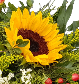 Screenshot_20210525-162442-1-bbb