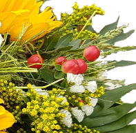 Screenshot_20210525-162446-1-gghhnh