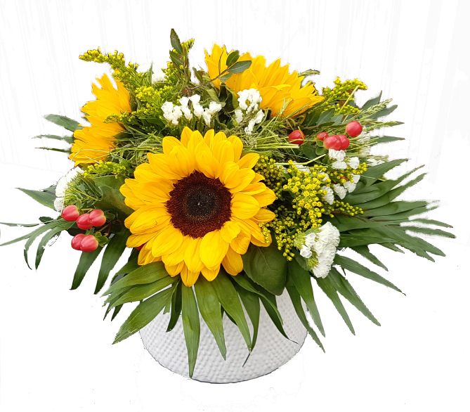 Screenshot_20210525-162446-1-n