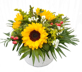 Screenshot_20210525-162446-1-n