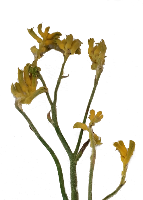 Screenshot_20210527-125146-1-ll