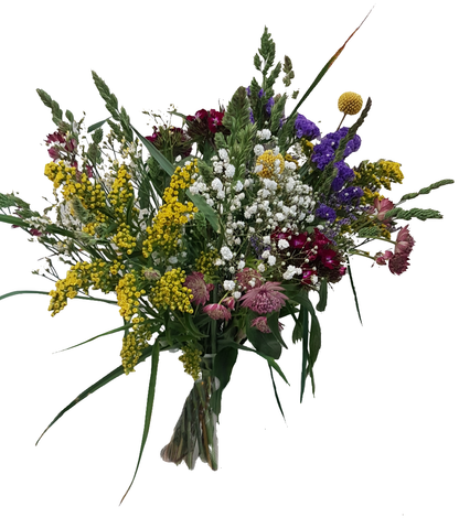 Screenshot_20210528-133505-1-dff