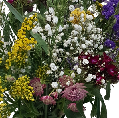 Screenshot_20210528-133505-1-dffggmb