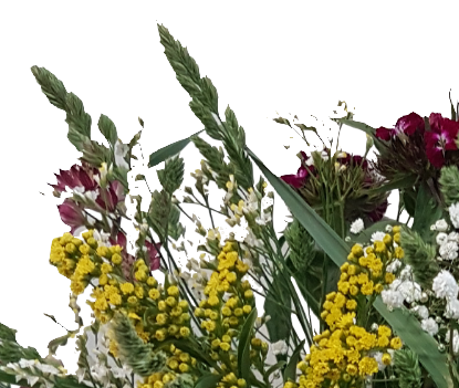 Screenshot_20210528-133505-1-dffggmbn