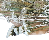 Screenshot_20210608-160546-1-dc