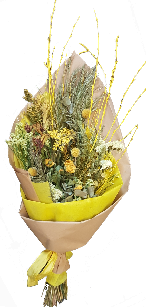 Screenshot_20210608-160720-1bsaYA3GZWZDHn