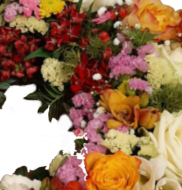 Screenshot_20210615-114322-1-wwwwwwqq