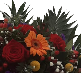 Screenshot_20210616-160203hhhhgg