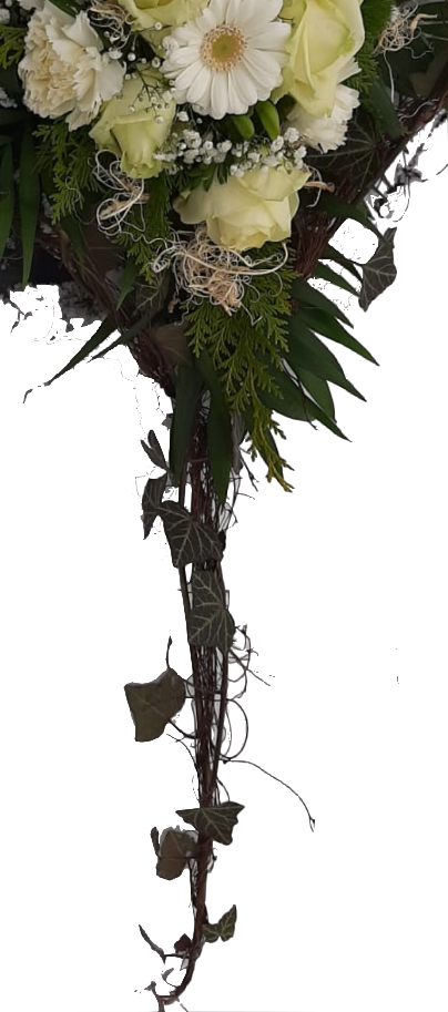 Screenshot_20210620-062825-1