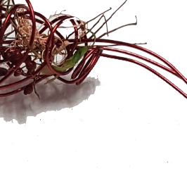 Screenshot_20210624-121006-1-ggbgbnbb