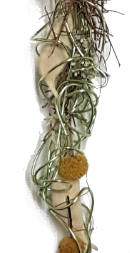 Screenshot_20210624-121157fggvvvbbvv