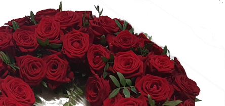 Screenshot_20210721-073603-1-111