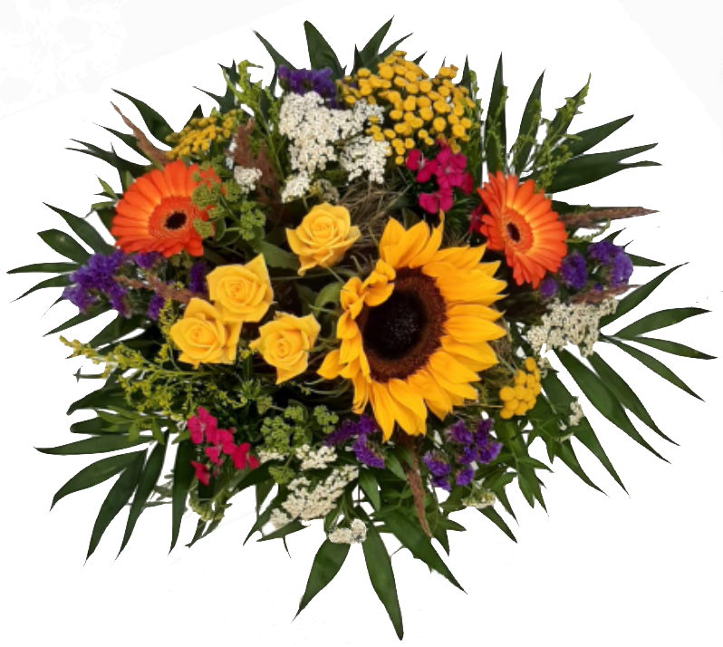 Screenshot_20210727-123105-1