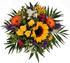 Screenshot_20210727-123105-1