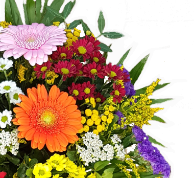 Screenshot_20210802-085918-1-11dADgrcxnvqnCo