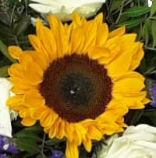 Screenshot_20210802-102001-1-1eKGSYg7I41FgF