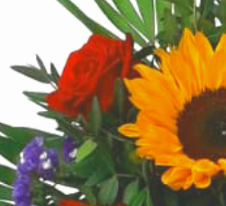 Screenshot_20210802-102205-1-11uInDutU1RRtB2