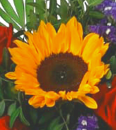 Screenshot_20210802-102205-1-1SfX8SxpFc3m97