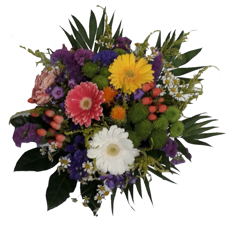 Screenshot_20210806-110504-1-1