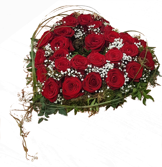 Screenshot_20210809-200021-1