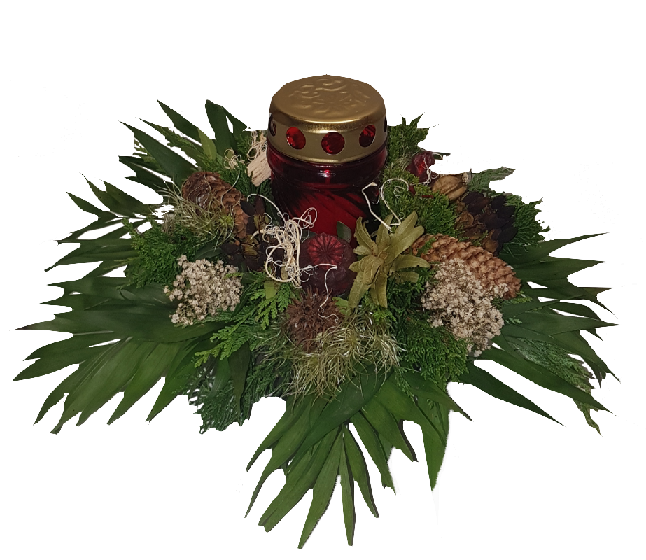 Screenshot_20211005-201402-1