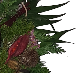 Screenshot_20211005-201903-11