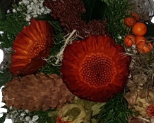 Screenshot_20211007-122529-1-1