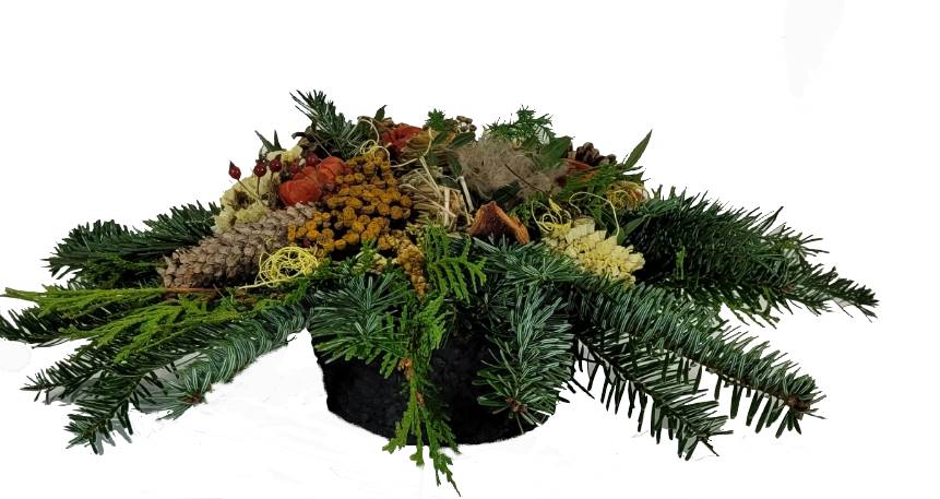 Screenshot_20211020-131148_Gallery-1