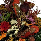 Screenshot_20211021-123743_Gallery-1-1
