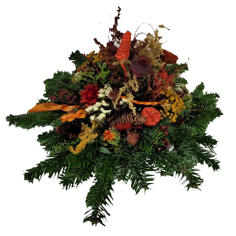 Screenshot_20211021-123935_Gallery-1