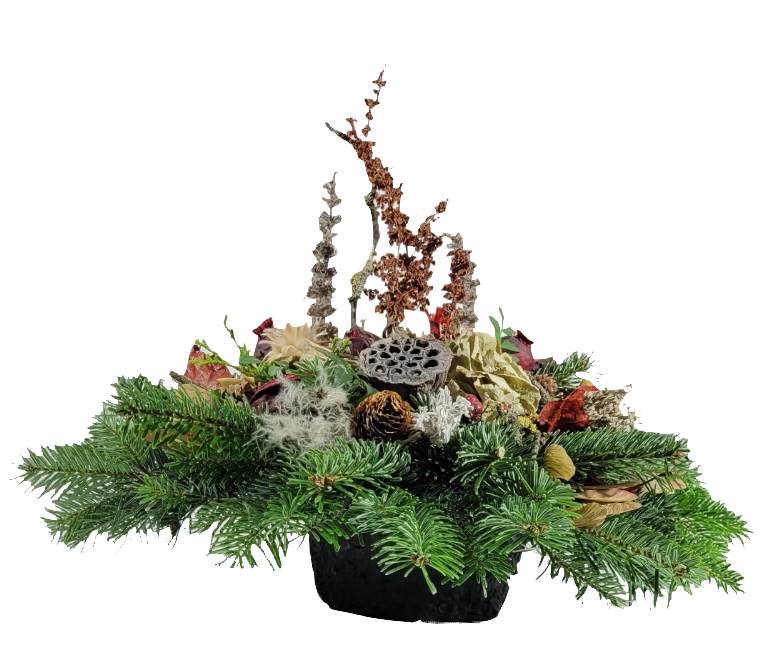 Screenshot_20211023-191422_Gallery-1