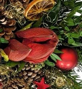 Screenshot_20211024-183537_Gallery-1-1