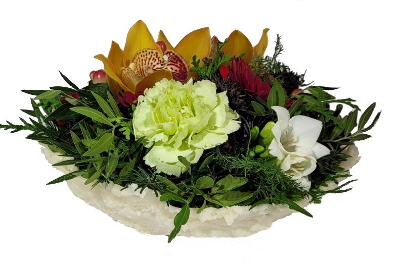 Screenshot_20211028-132553_Gallery-1