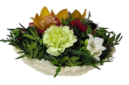 Screenshot_20211028-132553_Gallery-1